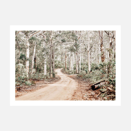 A photographic print of a bush track surrounded by a forest of gum trees.