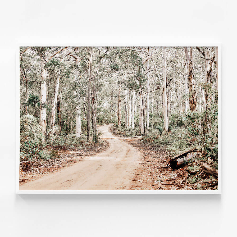 Bush Tracks