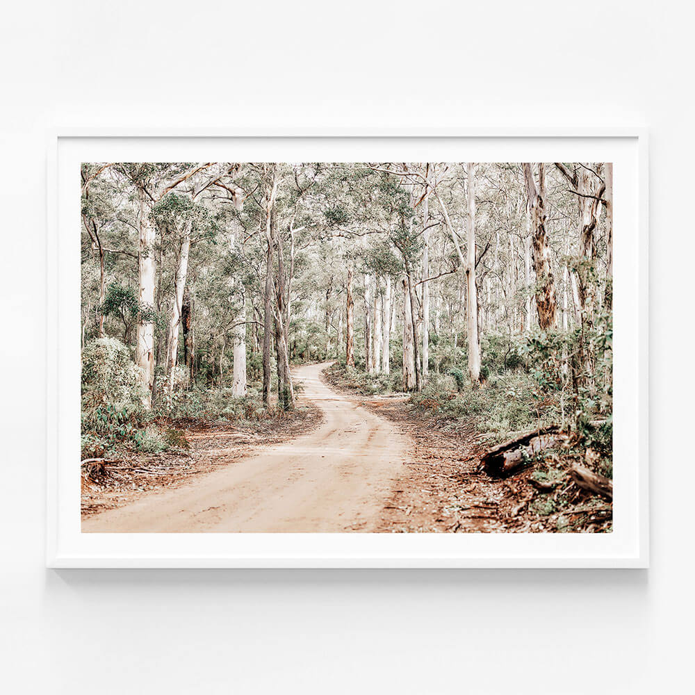 Bush Tracks
