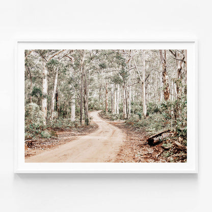 Bush Tracks