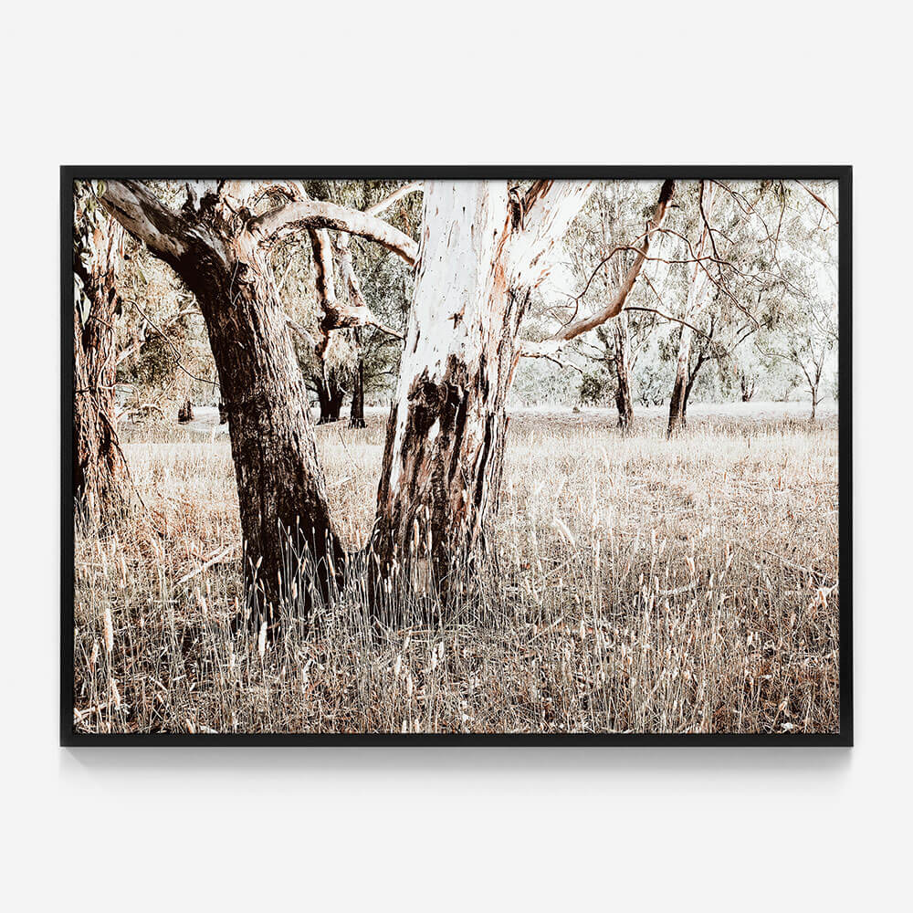Bushland