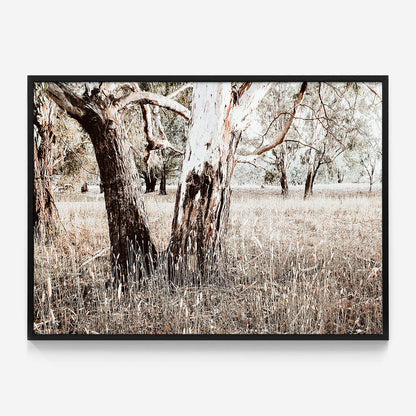 Bushland