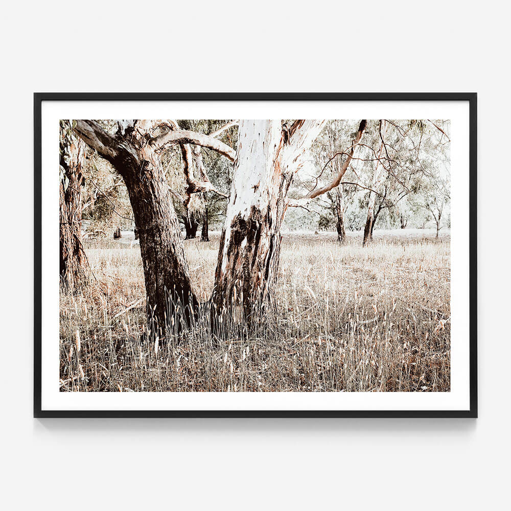 Bushland