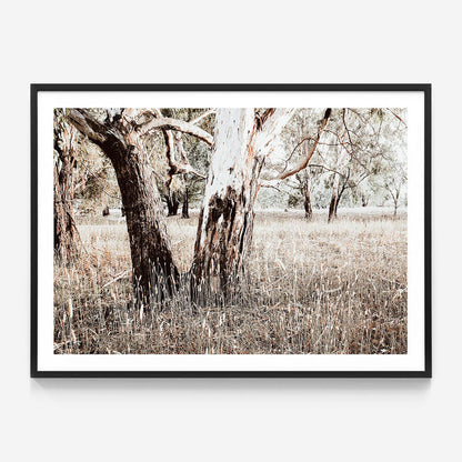 Bushland