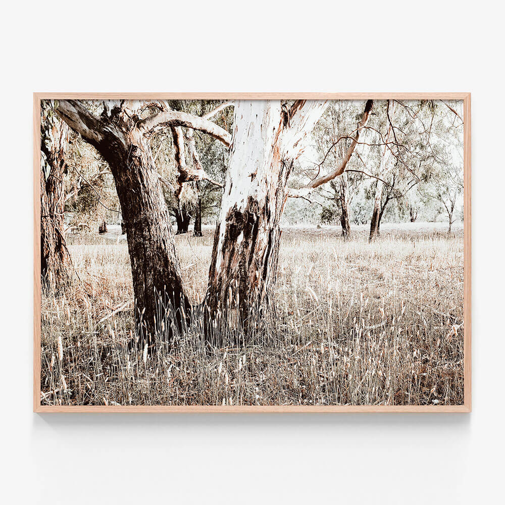 Bushland