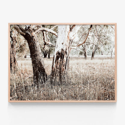 Bushland