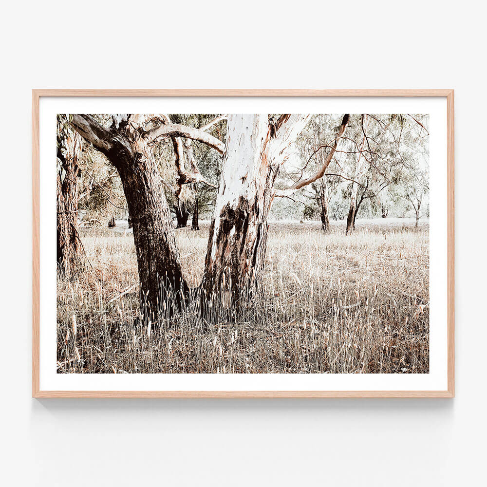 Bushland