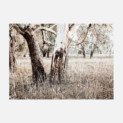 Bushland