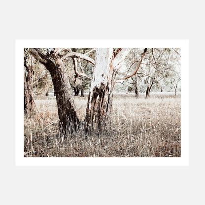 Bushland
