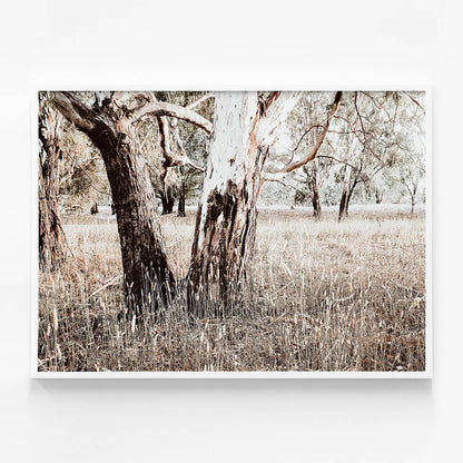 Bushland