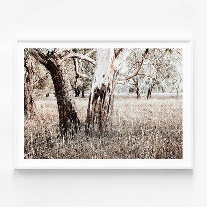 Bushland