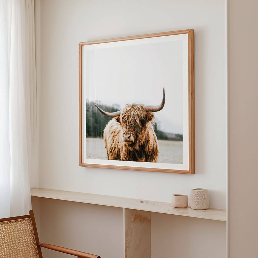 By-The-Horns-Highland-Cow-Art-Print.jpg