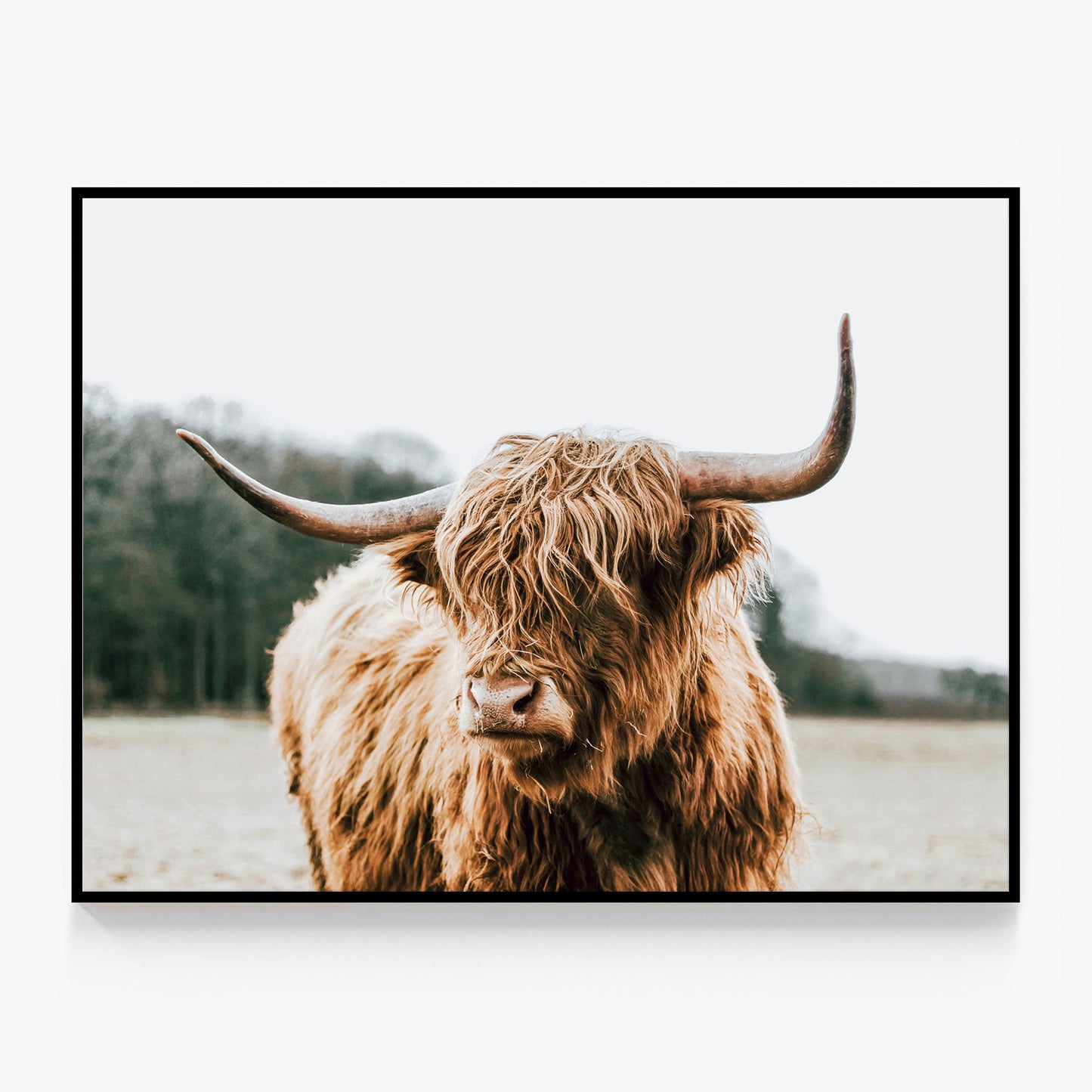 By the Horns Canvas