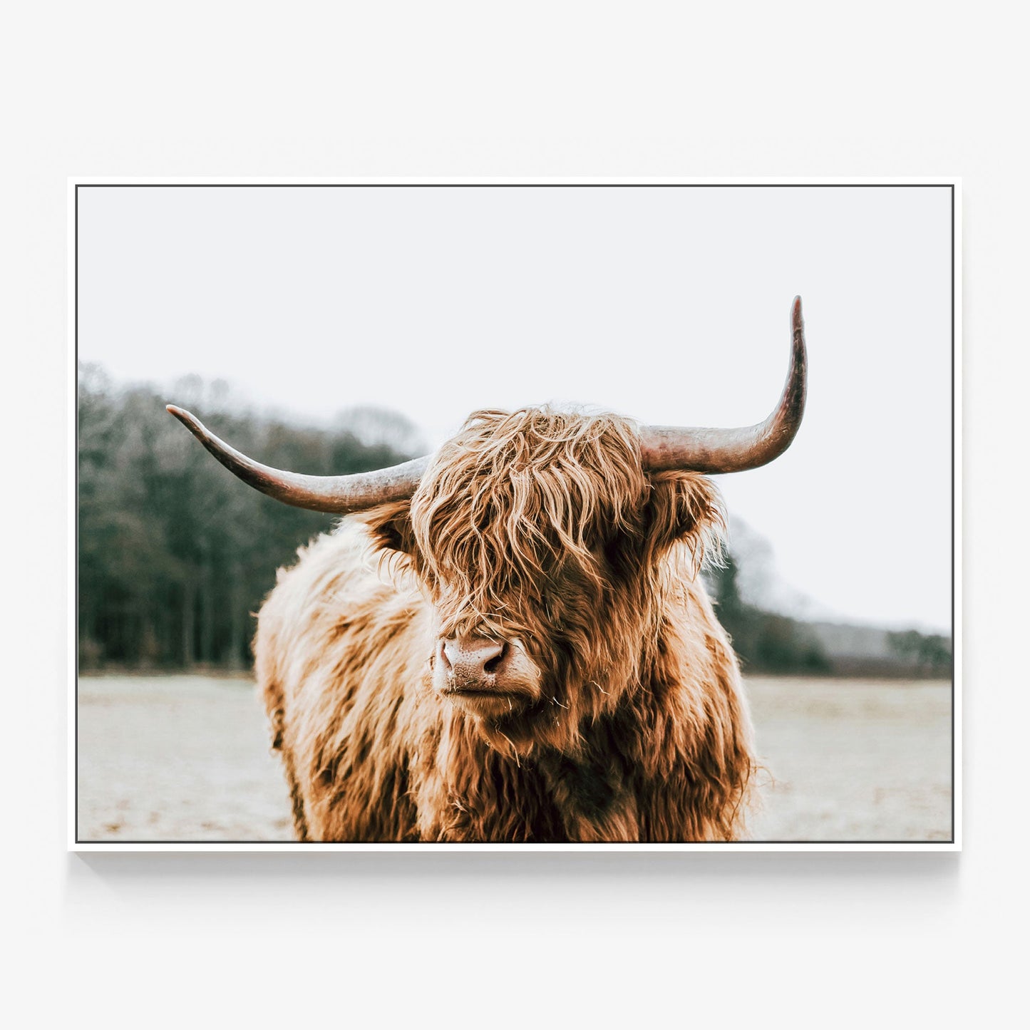 By the Horns Canvas