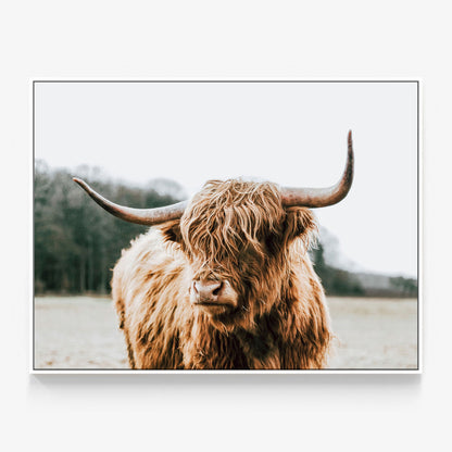 By the Horns Canvas