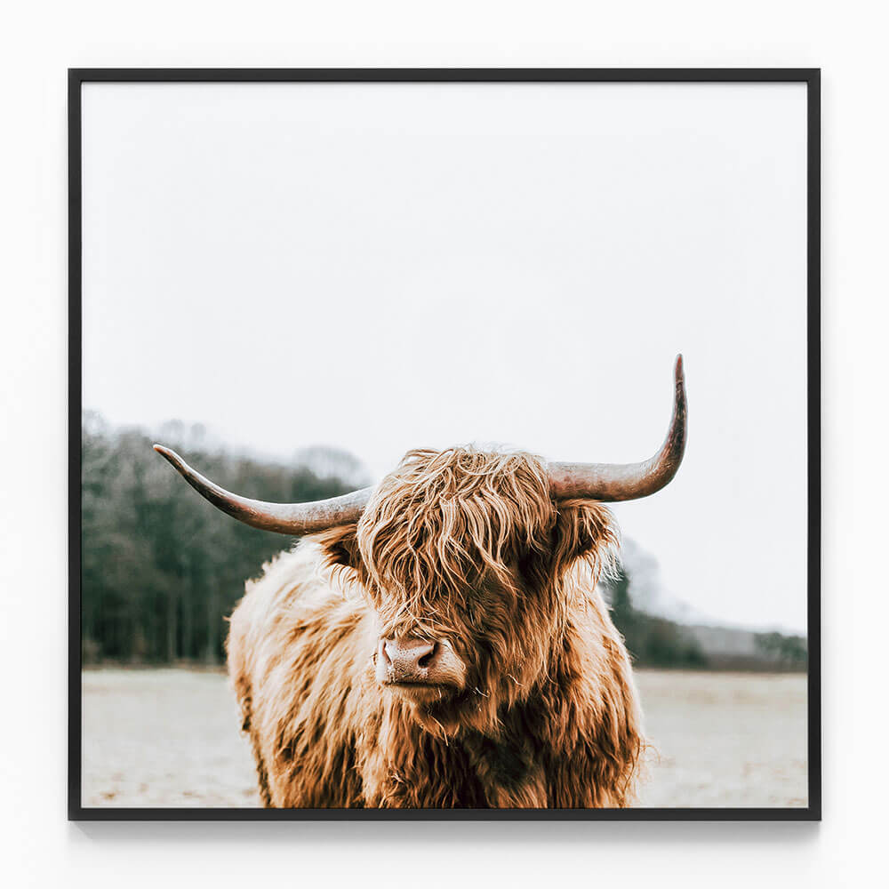 By the Horns