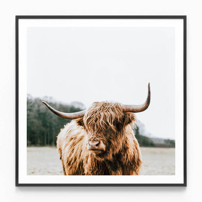 By the Horns