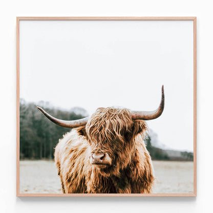 By the Horns