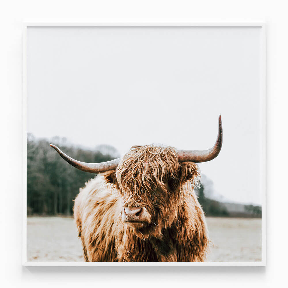 By the Horns