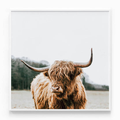 By the Horns