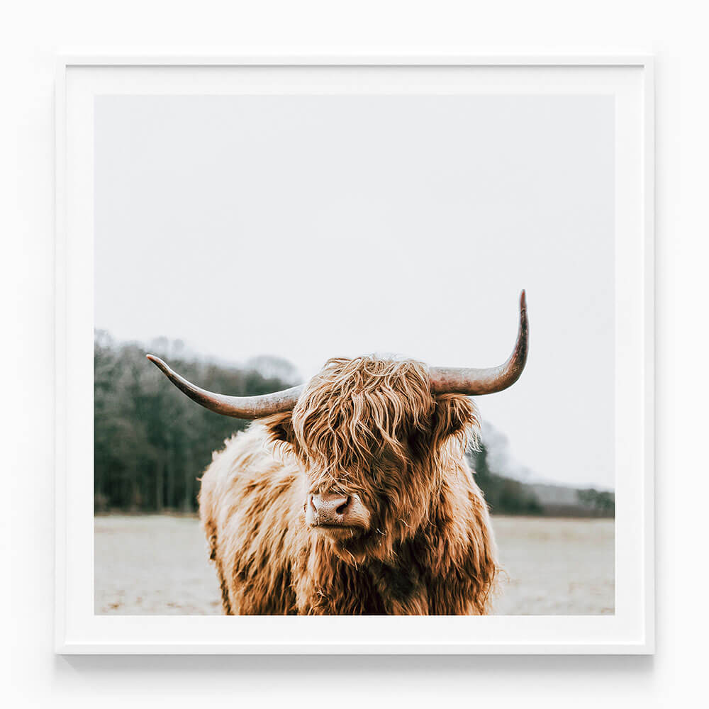 By the Horns