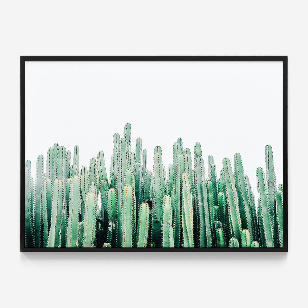 Cacti Cluster