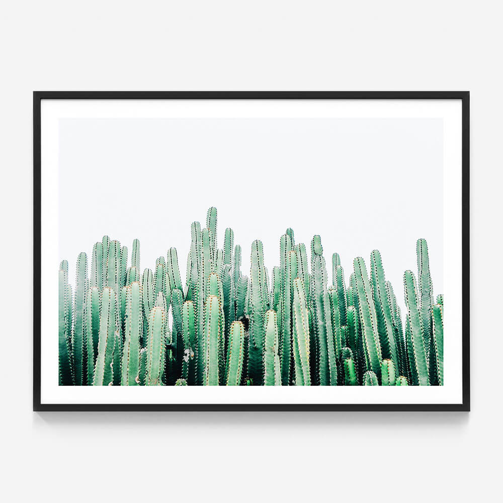 Cacti Cluster