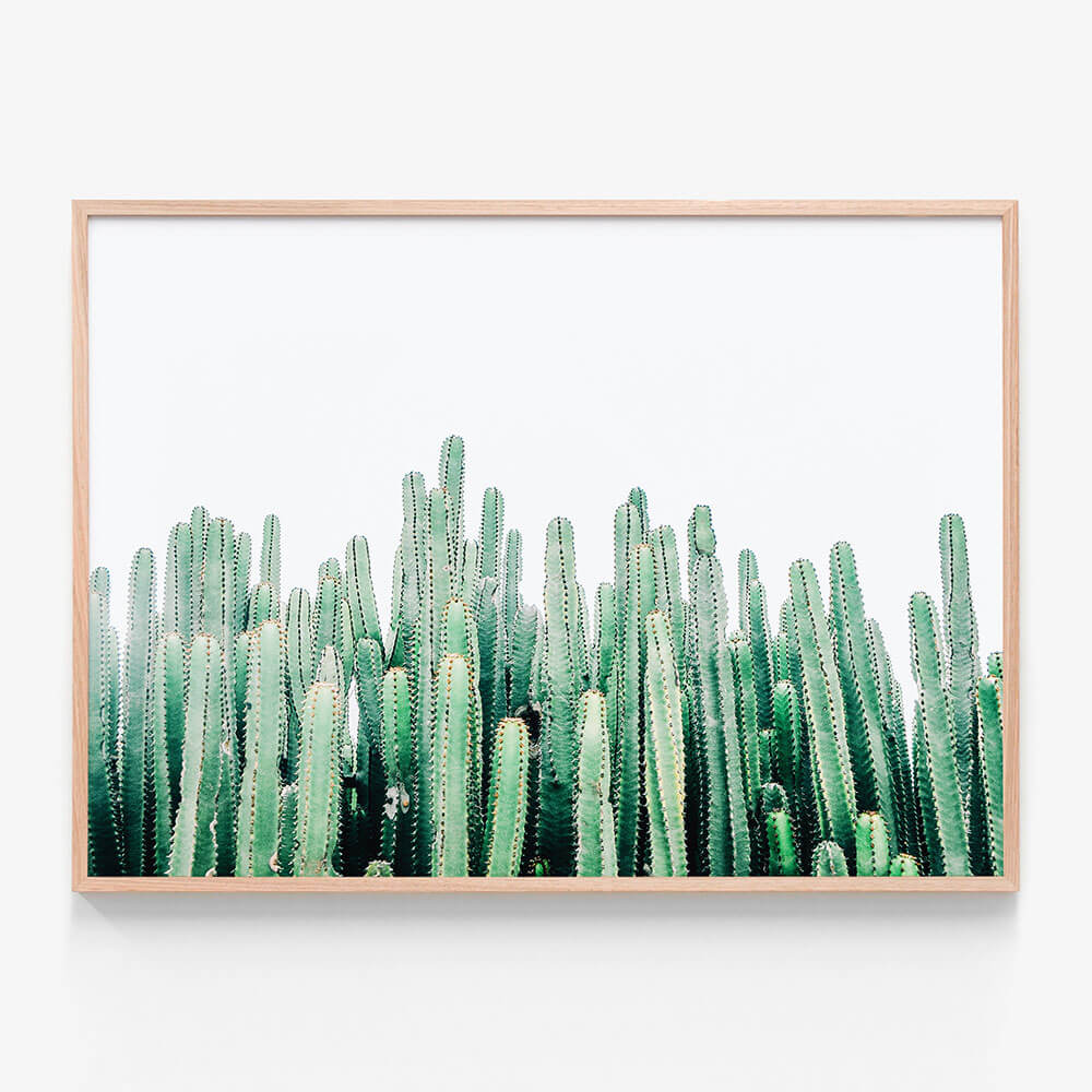 Cacti Cluster