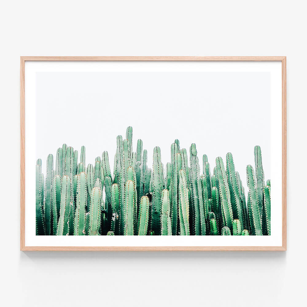 Cacti Cluster