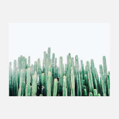 Cacti Cluster