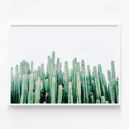 Cacti Cluster