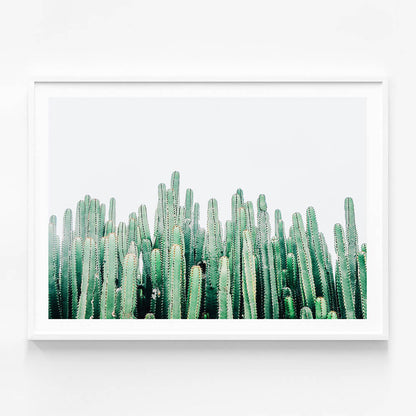Cacti Cluster
