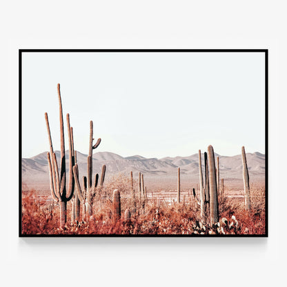 Cacti Wilderness Canvas
