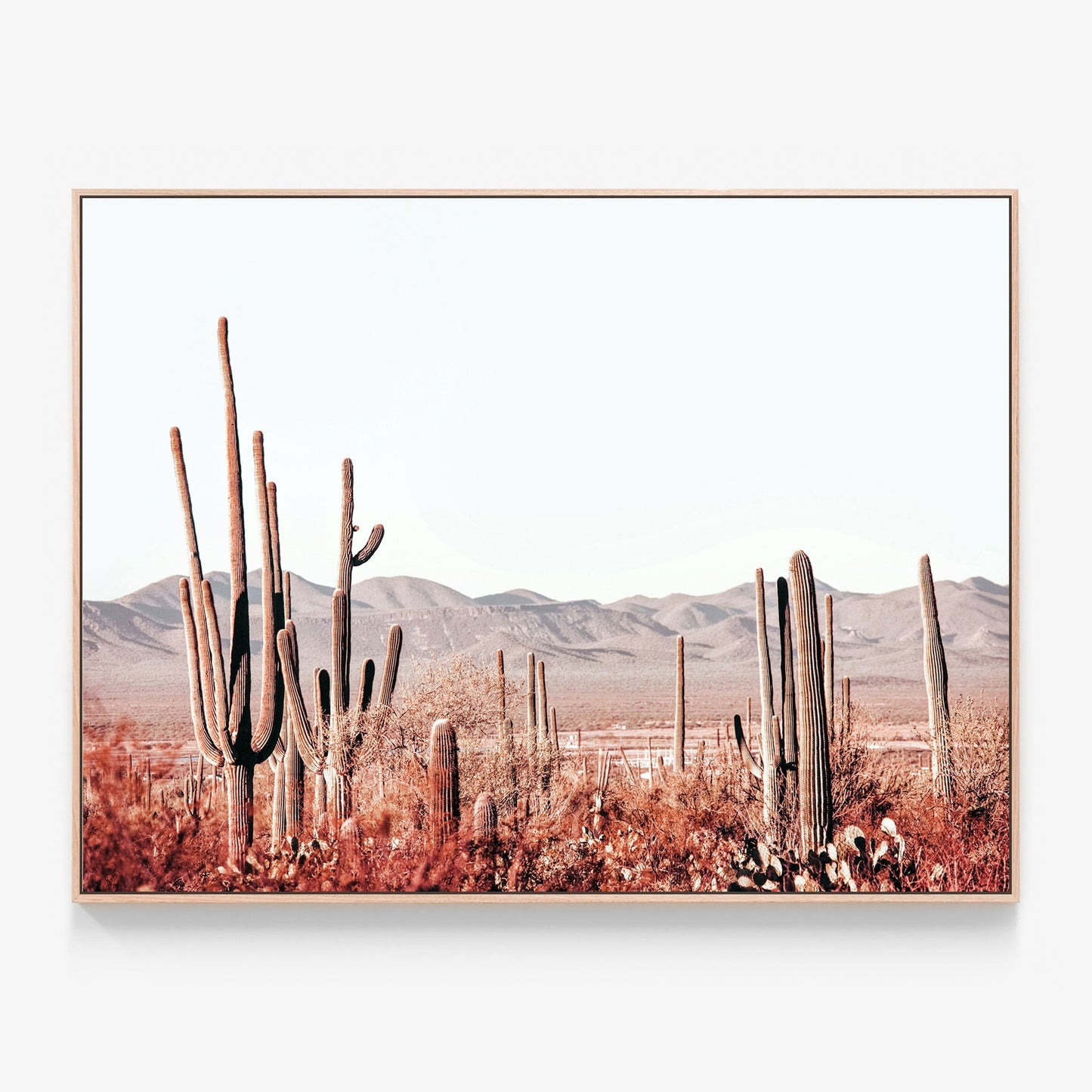 Cacti Wilderness Canvas print in oak frame