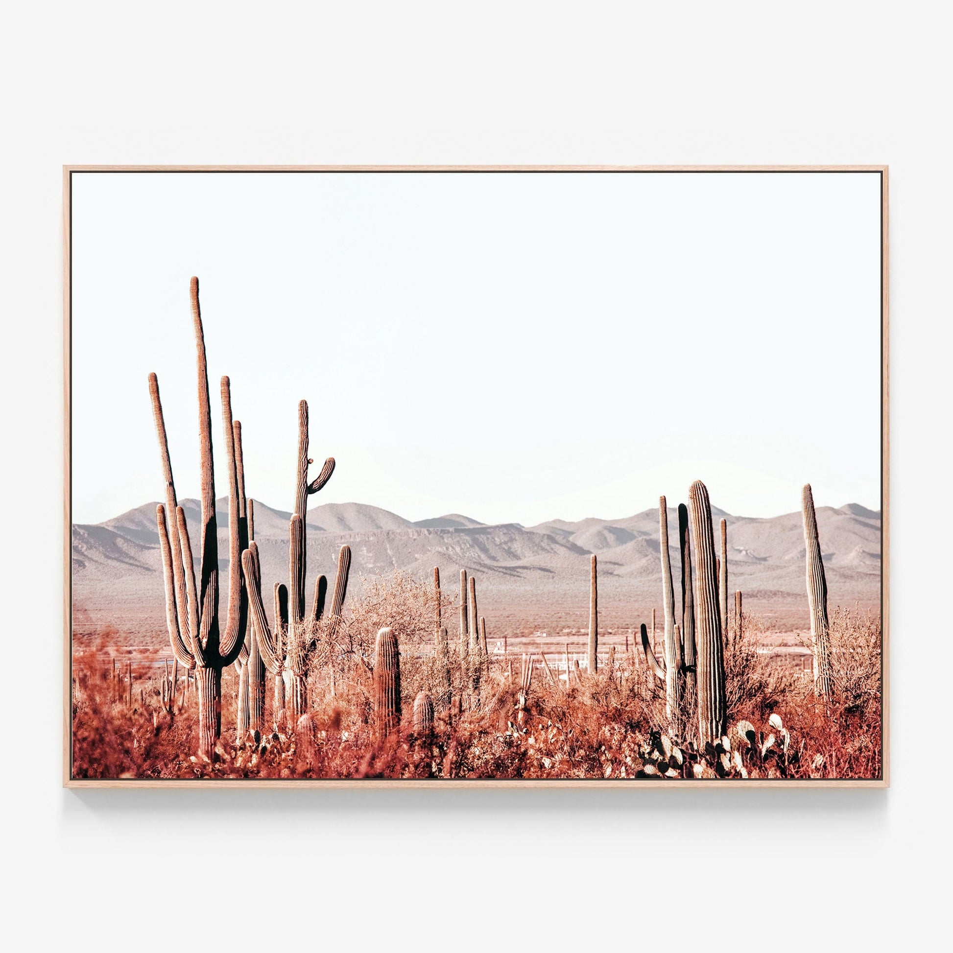 Cacti Wilderness Canvas print in oak frame