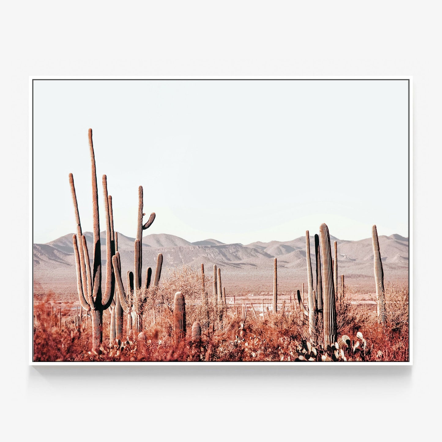 Cacti Wilderness Canvas
