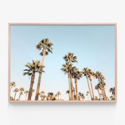 California Nights