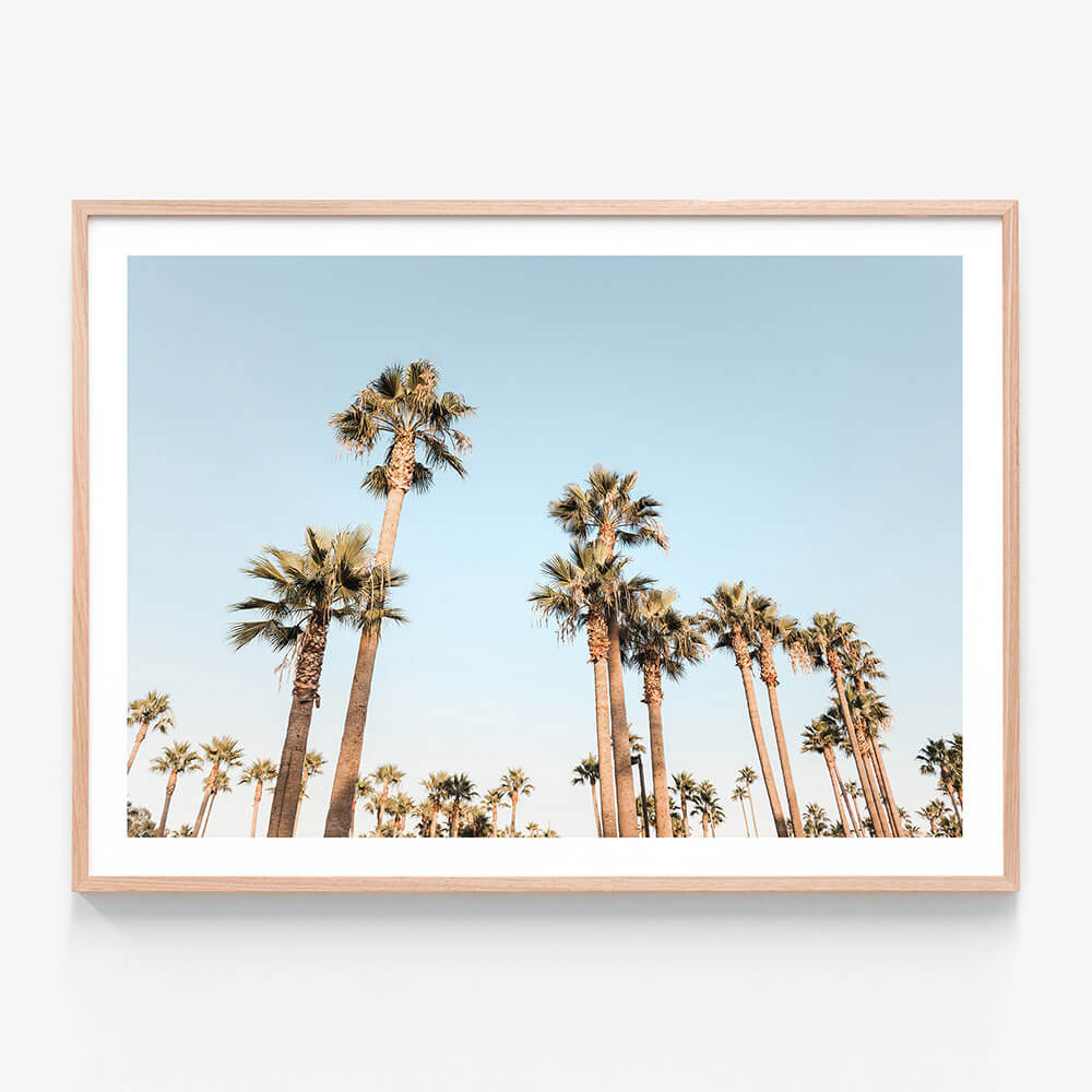 California Nights