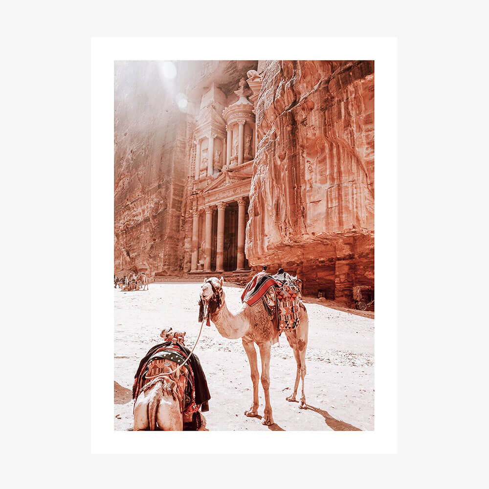 Camels of Petra No. 2