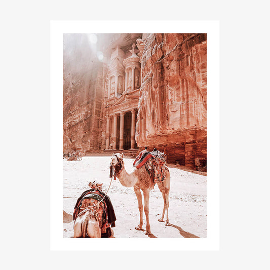 Camels of Petra No. 2