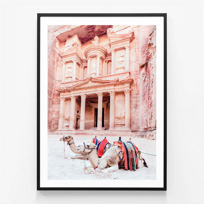 Camels of Petra