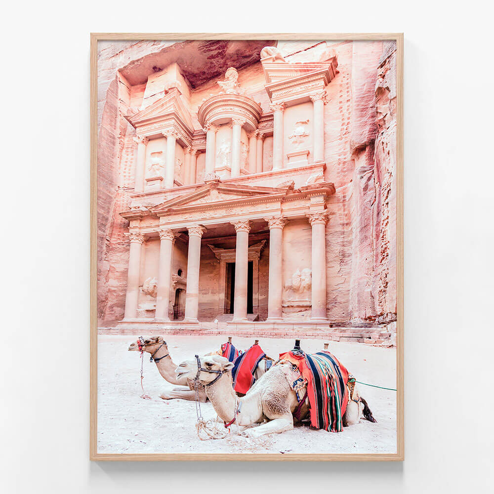 Camels of Petra
