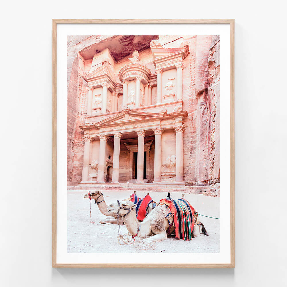 Camels of Petra