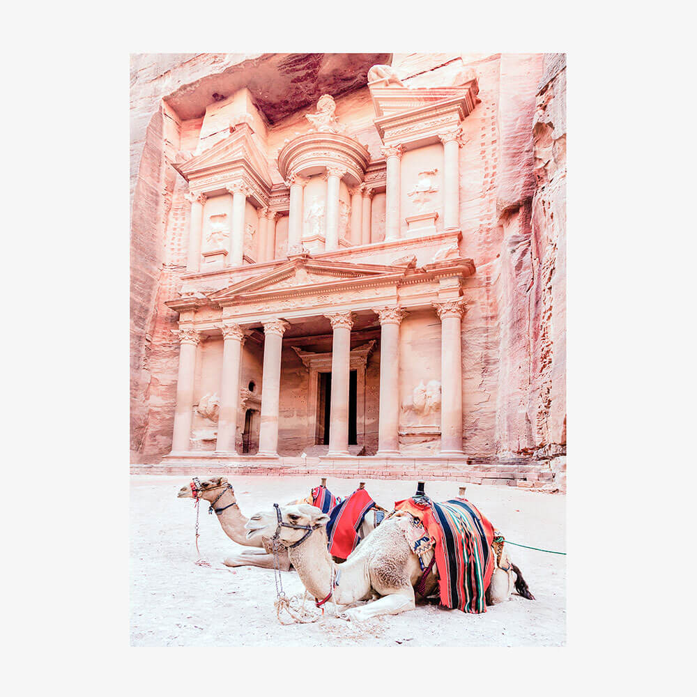 Camels of Petra