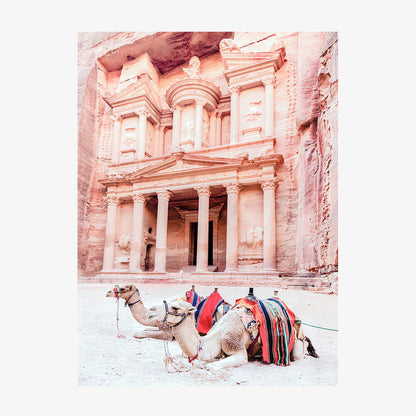 Camels of Petra