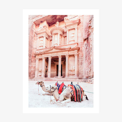 Camels of Petra