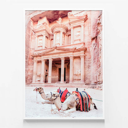 Camels of Petra