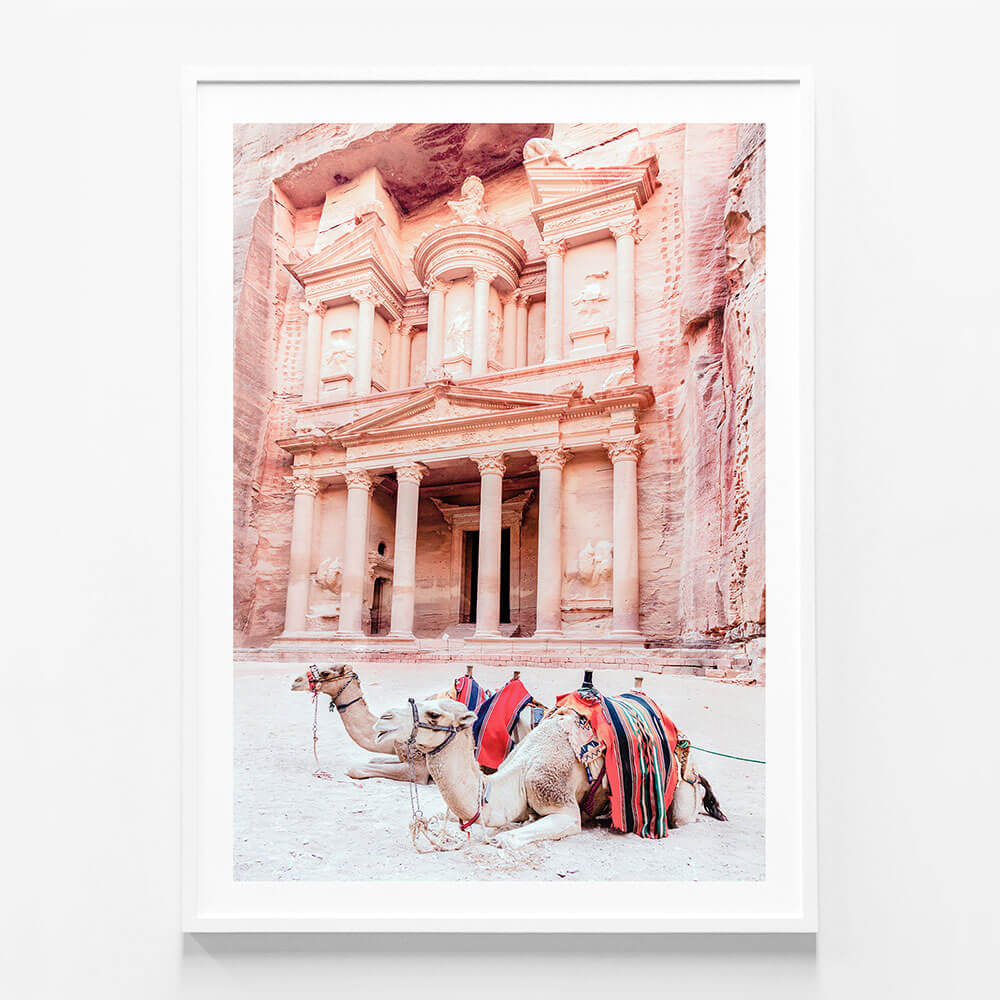 Camels of Petra
