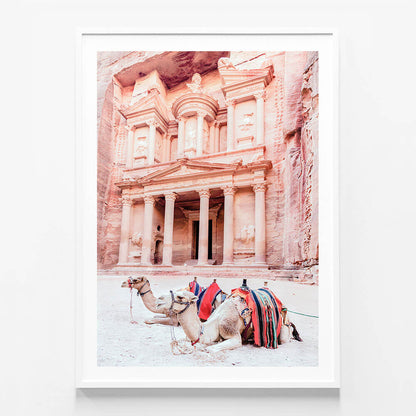 Camels of Petra