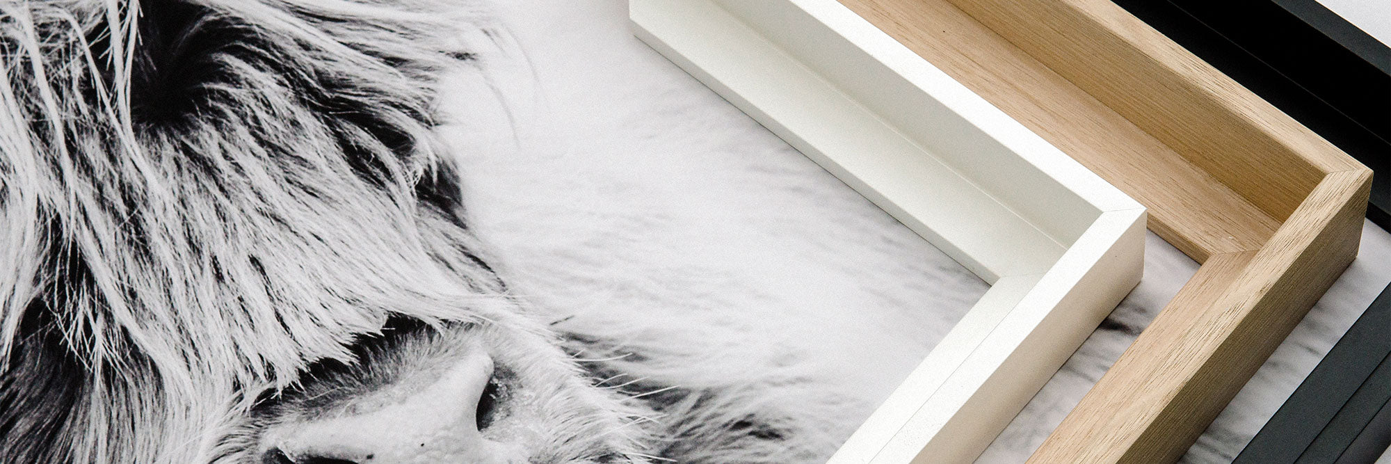Close-up of the float frame options for framed canvas wall art prints